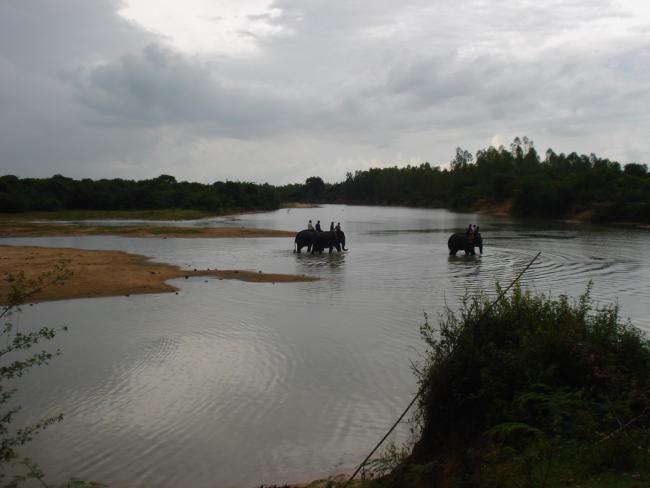 DSC00493_resize.JPG